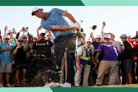 We found Waste Management Phoenix Open tickets under $10