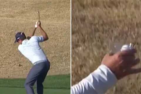 PGA Tour's Adam Schenk Nails Approach Right Into Fan's Cup