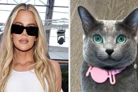 Khloé Kardashian Has Been Accused Of Facetuning Her Cat In A New Photo. And Yes, You Did Read That..