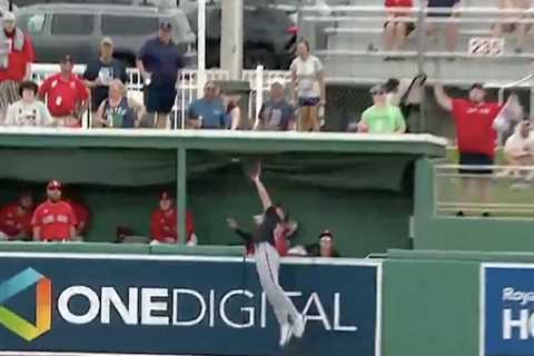 Nationals’ Daylen Lile taken off on stretcher after flipping over wall in scary scene