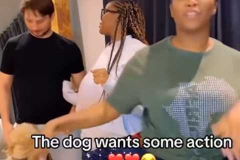 Strictly Sisters Oti and Motsi Mabuse Left Red-Faced as Dog Throws Dance Routine into Chaos in..