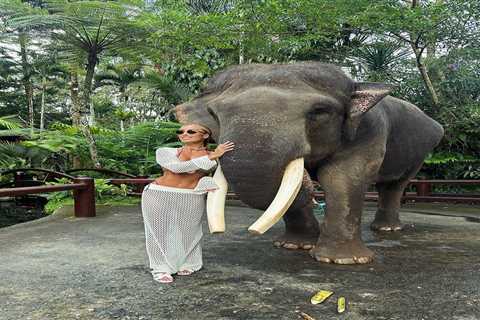 Towie's Amber Turner faces backlash over elephant tusks in holiday snap
