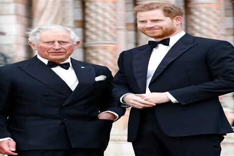 Real Reason Prince Harry Declined Meeting with King Charles During London Visit