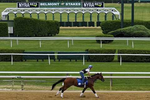 Belmont Stakes 2024: Odds, horses, prediction, complete bettor’s guide