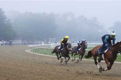 Belmont Stakes predictions, odds: Two picks for Saturday’s race at Saratoga Race Course