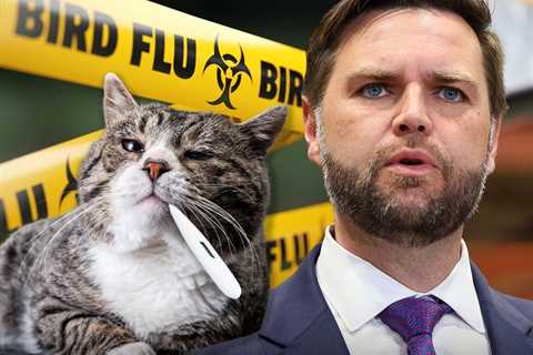 Avian Fowl Flu Outbreak Amongst Home Cats