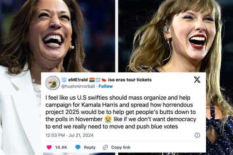 Swifties For Kamala Raised $144,000 In A Single Zoom Call. Here's What They're Planning Next