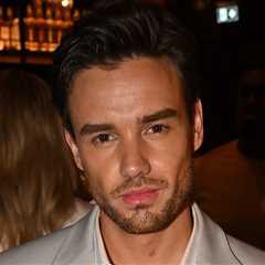 Liam Payne's 911 Transcript Reportedly Reveals Moments Before Death