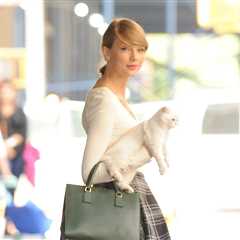 Musicians Who Are Cat Lovers: Taylor Swift, Ed Sheeran & More