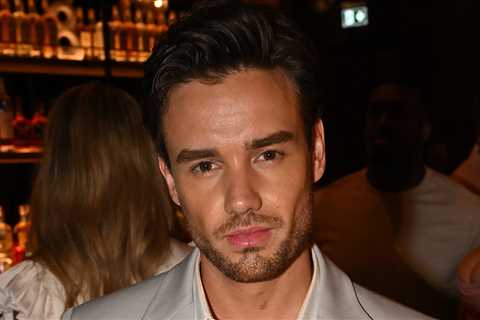 Liam Payne's 911 Transcript Reportedly Reveals Moments Before Death