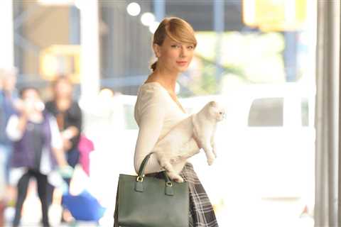 Musicians Who Are Cat Lovers: Taylor Swift, Ed Sheeran & More