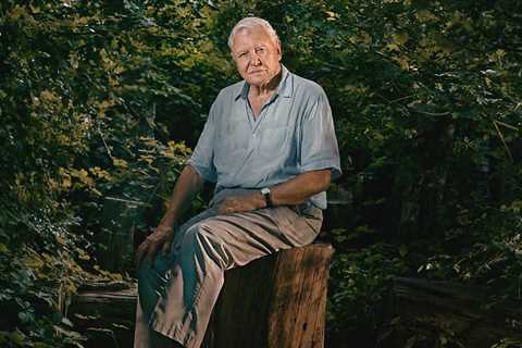 Sir David Attenborough to Present New BBC Natural History Series on Asia