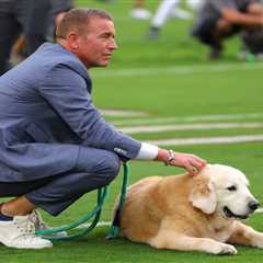 Kirk Herbstreit announces death of beloved dog Ben in heartbreaking post