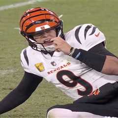 Al Michael fumes over two missed calls on decisive Bengals-Ravens play