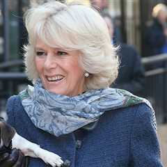 Queen Camilla's Longtime Dog Beth Dies, Buckingham Palace Announces