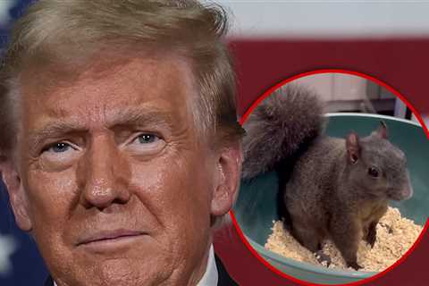 Fake Trump Statement on Peanut The Squirrel Makes Social Media Go Nuts