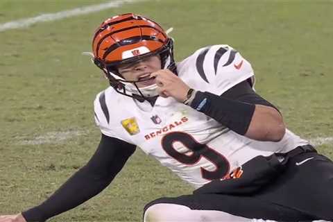 Al Michael fumes over two missed calls on decisive Bengals-Ravens play