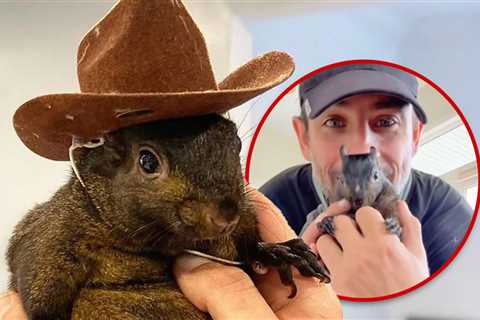 Peanut the Squirrel Controversy Results in NY Agency Internal Investigation