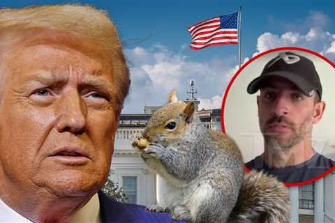 Peanut the Squirrel Controversy Likely Contributed to Trump Win, Owner Believes