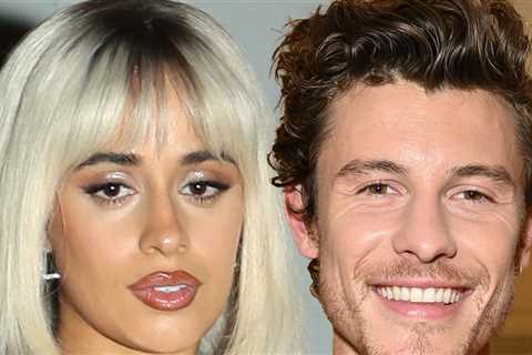 Camila Cabello Announces 'Internet Break' Ahead of Shawn Mendes' New Album Drop