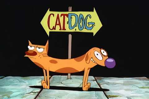 Cartoon Animals Transformed into CatDog-Style Art Mashups