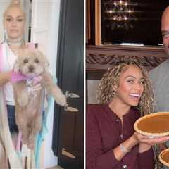 Celebrity Pies ... Slice Slice Baby!