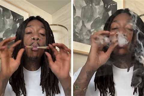 Snoop Dogg Posts Picture in Easter Bunny Suit, Wiz Khalifa Smokes Two Joints on 420
