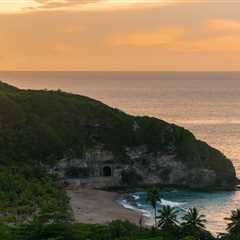 Ayahuasca Helped Inspire a BPM Festival Co-Founder’s New Dance Event Venture