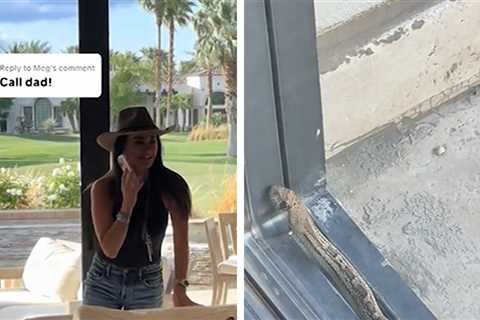 Kyle Richards Calls Ex Mauricio Umansky to Get Snake Out of House, on Video