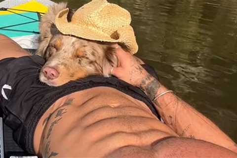 Guess the Shredded Star Cuddlin' With His Dog ... Ruff Life!
