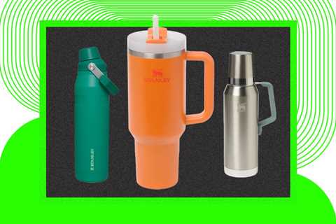 Stanley Cup Sale: Get the Viral Water Bottle for Less Than $30 Online