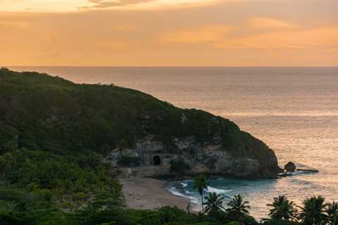 Ayahuasca Helped Inspire a BPM Festival Co-Founder’s New Dance Event Venture