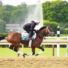 2025 Belmont Stakes predictions: Three picks for Saturday’s race at Saratoga