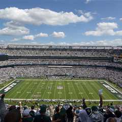 NY/NJ World Cup Committee vows to keep crowds orderly at MetLife Stadium
