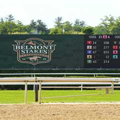 2025 Belmont Stakes picks: Best horses to use in exactas, trifectas