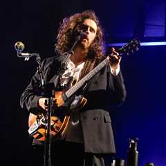Hozier Postpones Two Shows Due to Illness, Thanks Gov Ball Fans After He ‘Struggled’ On Stage