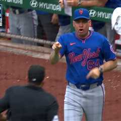 Mets’ Carlos Mendoza gets ejected after fiery argument with home plate umpire