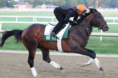 Belmont Stakes 2025: Odds, horses, prediction, complete bettor’s guide