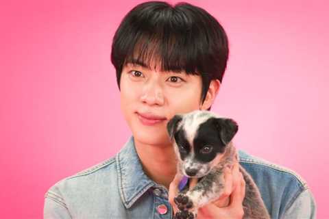 Jin Says He’d Love to Collab With Bruno Mars in Puppy Interview