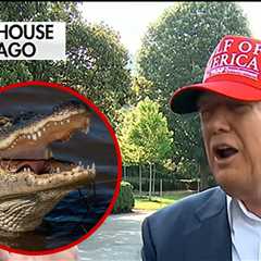Donald Trump Chuckles About Escaped Prisoners Getting Eaten at 'Alligator Alcatraz'