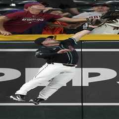 Overzealous Diamondbacks fan forces umpire review for fourth straight season