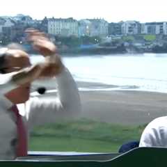 British Open announcers attacked by bat in surreal broadcast moment