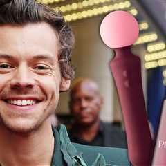 Harry Styles Selling Sex Toys, Including Vibrator and Lube