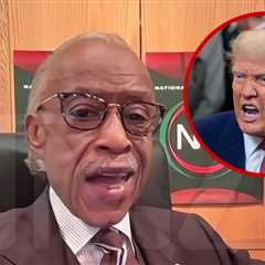 Al Sharpton Says Trump's Attacking Black Celebs to Draw Attention From Epstein