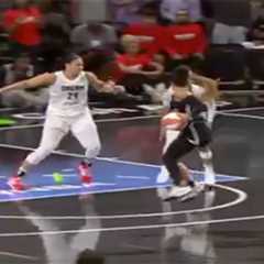 Sex toy thrown on court during final moments of WNBA game