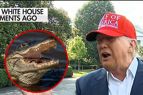 Donald Trump Chuckles About Escaped Prisoners Getting Eaten at 'Alligator Alcatraz'