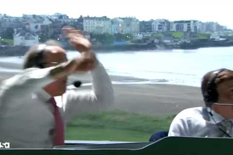 British Open announcers attacked by bat in surreal broadcast moment