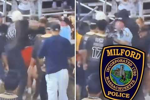 Youth Baseball Player, Spectator Charged After Brawl Breaks Out At Game
