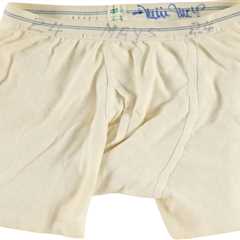 You can now own MLB legend Willie Mays’ signed and worn underwear as bizarre memorabilia hits..