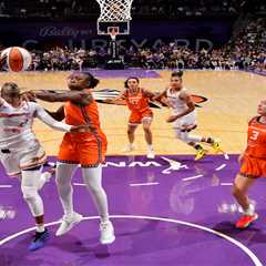 18-year-old arrested for allegedly striking girl, 9, and her uncle with sex toy at WNBA game